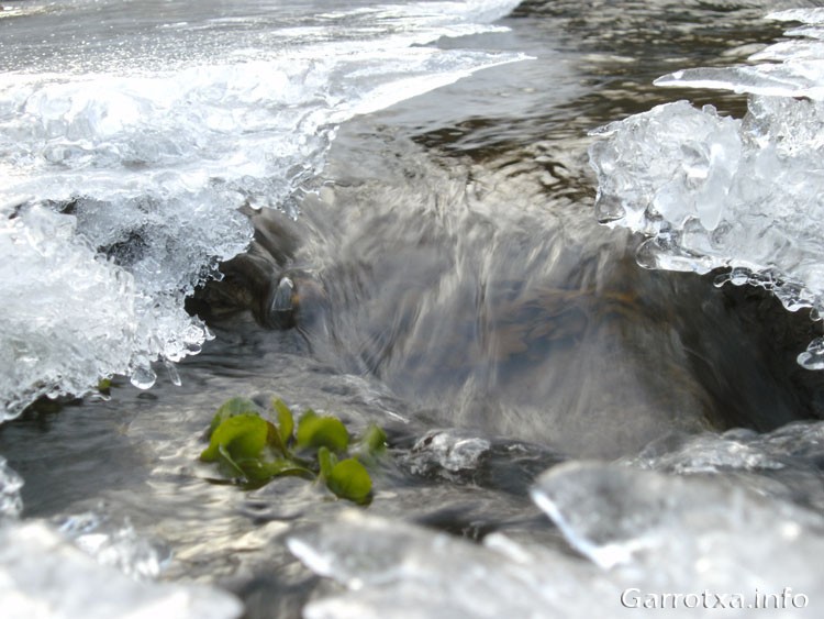 022 Ballant al ritme del desglas